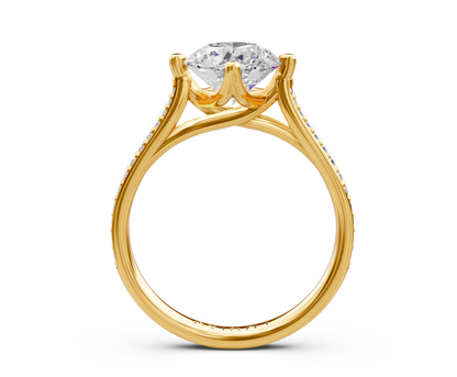 R-29 YG-4.png
