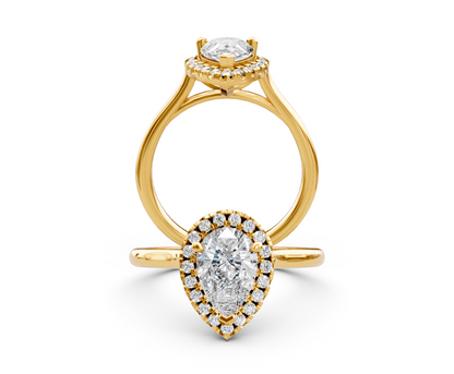R-33 YG-1.png